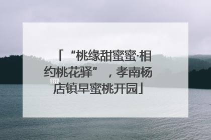 “桃缘甜蜜蜜·相约桃花驿”，孝南杨店镇早蜜桃开园