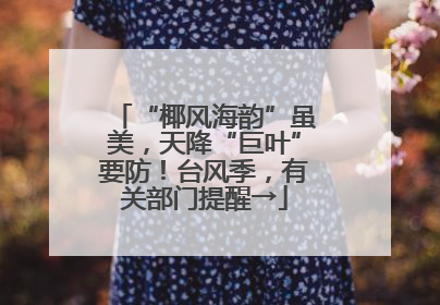 “椰风海韵”虽美，天降“巨叶”要防！台风季，有关部门提醒→