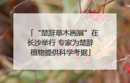 “楚辞草木画展”在长沙举行 专家为楚辞植物提供科学考据