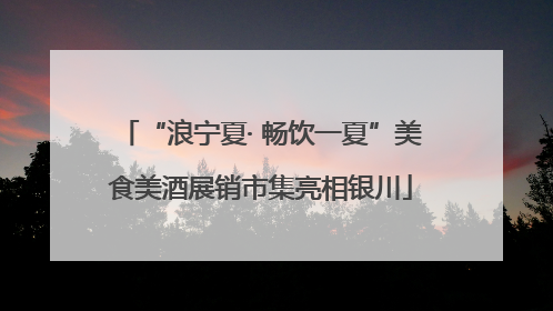 “浪宁夏· 畅饮一夏”美食美酒展销市集亮相银川