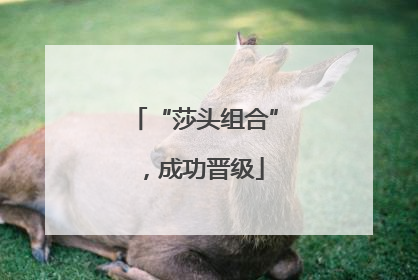 “莎头组合”，成功晋级