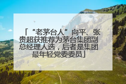 “老茅台人”向平、张贵超获推荐为茅台集团副总经理人选，后者是集团最年轻党委委员