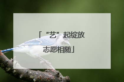 “艺”起绽放 志愿相随