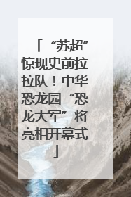 “苏超”惊现史前拉拉队！中华恐龙园“恐龙大军”将亮相开幕式