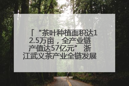 “茶叶种植面积达12.5万亩，全产业链产值达57亿元” 浙江武义茶产业全链发展“加速度”