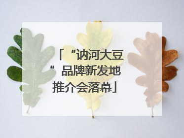 “讷河大豆”品牌新发地推介会落幕