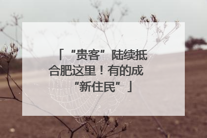 “贵客”陆续抵合肥这里！有的成“新住民”