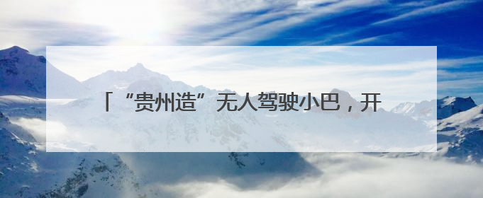 “贵州造”无人驾驶小巴，开启黄果树小黄鸭漂流智慧之旅