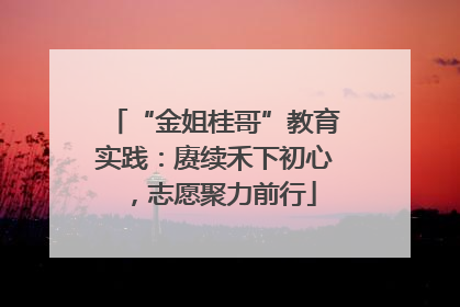 “金姐桂哥”教育实践：赓续禾下初心，志愿聚力前行