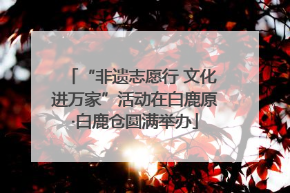 “非遗志愿行 文化进万家”活动在白鹿原·白鹿仓圆满举办