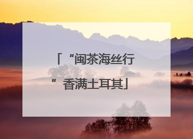 “闽茶海丝行”香满土耳其
