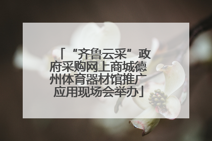 “齐鲁云采”政府采购网上商城德州体育器材馆推广应用现场会举办