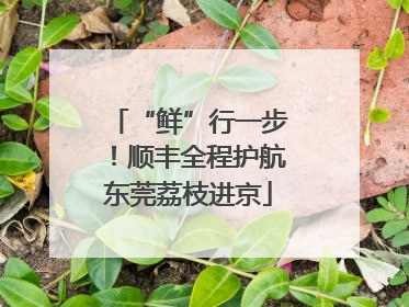 “鲜”行一步！顺丰全程护航东莞荔枝进京