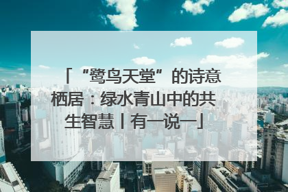“鹭鸟天堂”的诗意栖居：绿水青山中的共生智慧丨有一说一