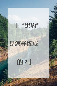 “黑豹”是怎样炼成的？