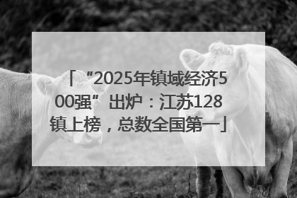 “2025年镇域经济500强”出炉：江苏128镇上榜，总数全国第一