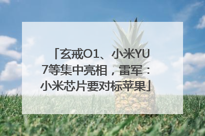 玄戒O1、小米YU7等集中亮相，雷军：小米芯片要对标苹果