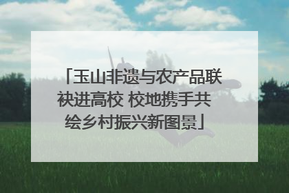 玉山非遗与农产品联袂进高校 校地携手共绘乡村振兴新图景