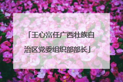 王心富任广西壮族自治区党委组织部部长