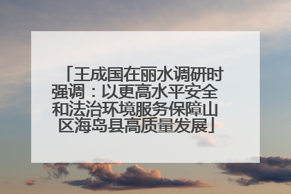 王成国在丽水调研时强调：以更高水平安全和法治环境服务保障山区海岛县高质量发展