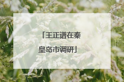 王正谱在秦皇岛市调研