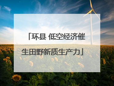 环县 低空经济催生田野新质生产力