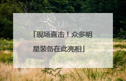 现场直击！众多明星装备在此亮相