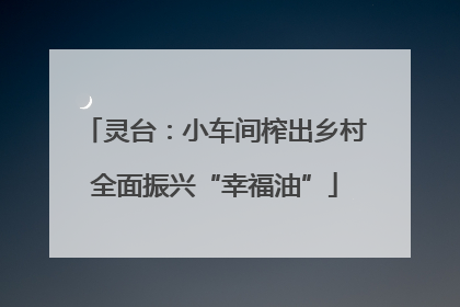 灵台：小车间榨出乡村全面振兴“幸福油”