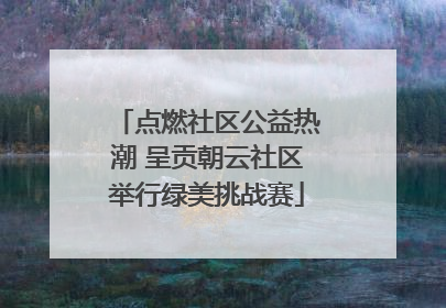 点燃社区公益热潮 呈贡朝云社区举行绿美挑战赛