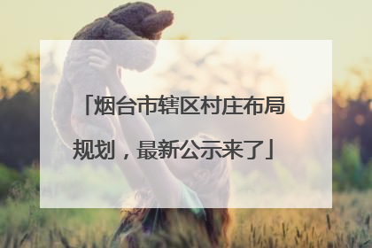 烟台市辖区村庄布局规划，最新公示来了