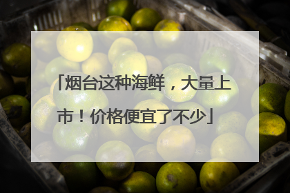 烟台这种海鲜，大量上市！价格便宜了不少