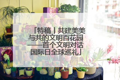 特稿丨共建美美与共的文明百花园——首个文明对话国际日全球巡礼