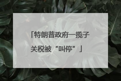 特朗普政府一揽子关税被“叫停”