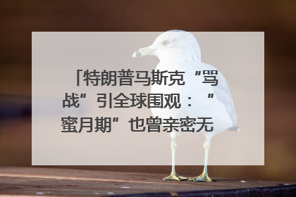 特朗普马斯克“骂战”引全球围观：“蜜月期”也曾亲密无间｜国际观察