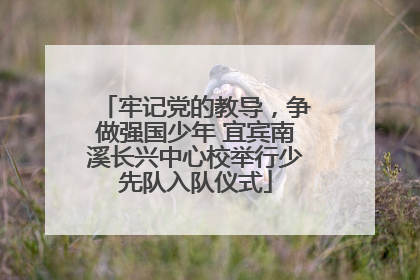 牢记党的教导，争做强国少年 宜宾南溪长兴中心校举行少先队入队仪式