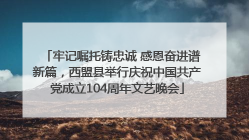 牢记嘱托铸忠诚 感恩奋进谱新篇，西盟县举行庆祝中国共产党成立104周年文艺晚会