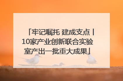 牢记嘱托 建成支点丨10家产业创新联合实验室产出一批重大成果