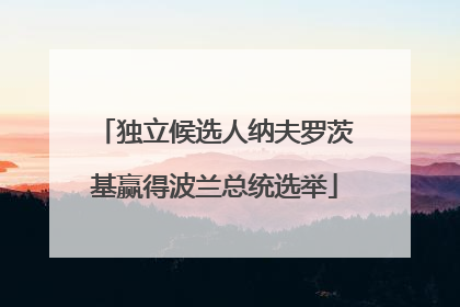 独立候选人纳夫罗茨基赢得波兰总统选举