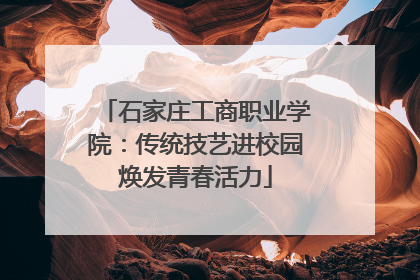 石家庄工商职业学院：传统技艺进校园焕发青春活力