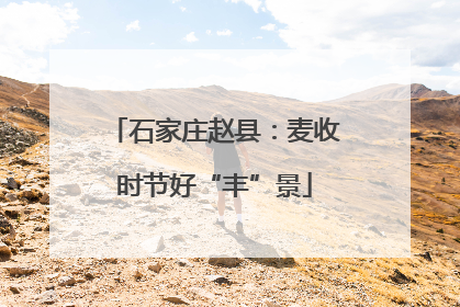 石家庄赵县：麦收时节好“丰”景