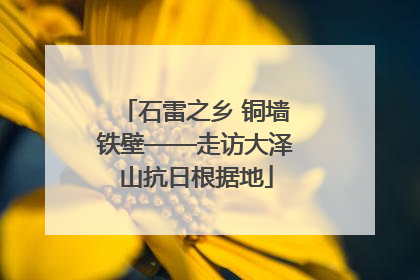 石雷之乡 铜墙铁壁——走访大泽山抗日根据地