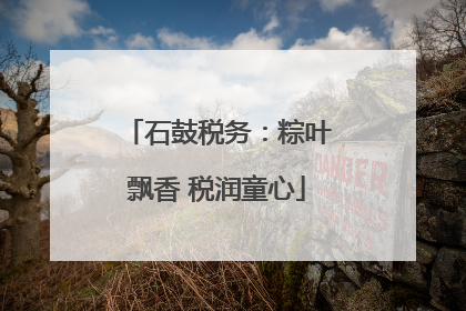 石鼓税务：粽叶飘香 税润童心