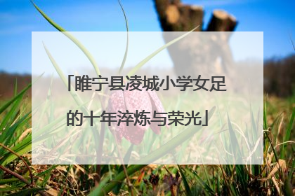 睢宁县凌城小学女足的十年淬炼与荣光