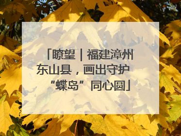 瞭望｜福建漳州东山县，画出守护“蝶岛”同心圆