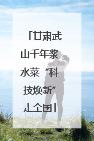甘肃武山千年浆水菜“科技焕新”走全国