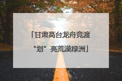 甘肃高台龙舟竞渡“划”亮荒漠绿洲