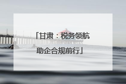 甘肃：税务领航 助企合规前行