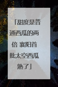 甜度是普通西瓜的两倍 襄阳首批太空西瓜熟了