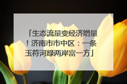 生态流量变经济增量！济南市市中区：一条玉符河绿两岸富一方