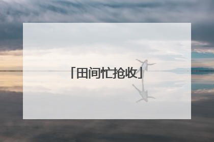 田间忙抢收